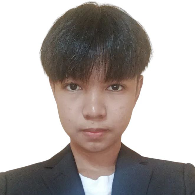Developer